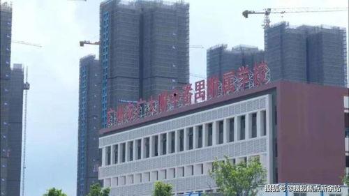 增城房产爆料最新消息,揭秘增城楼市新趋势与投资机遇 第2张 增城房产爆料最新消息,揭秘增城楼市新趋势与投资机遇 第2张